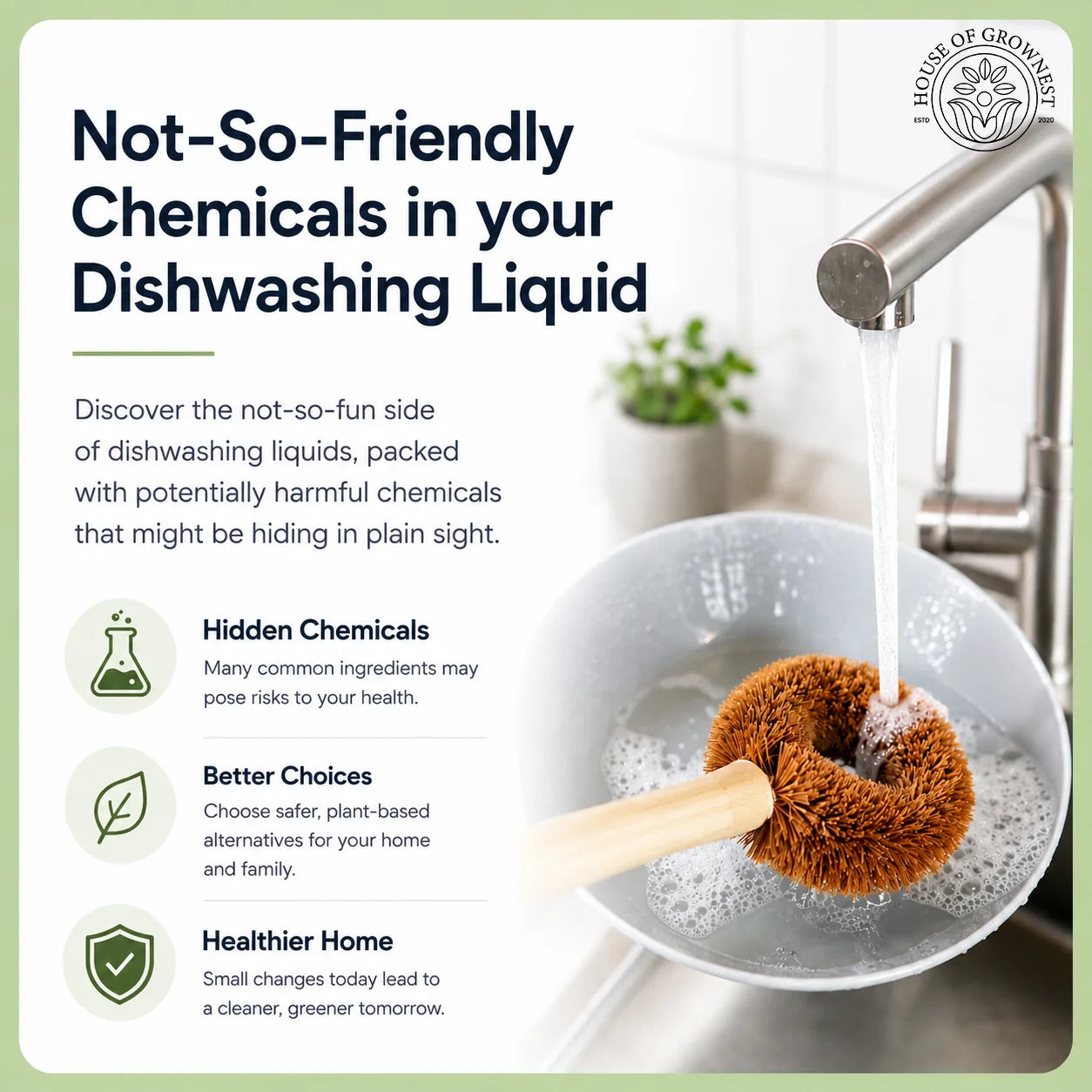 Dish Wash