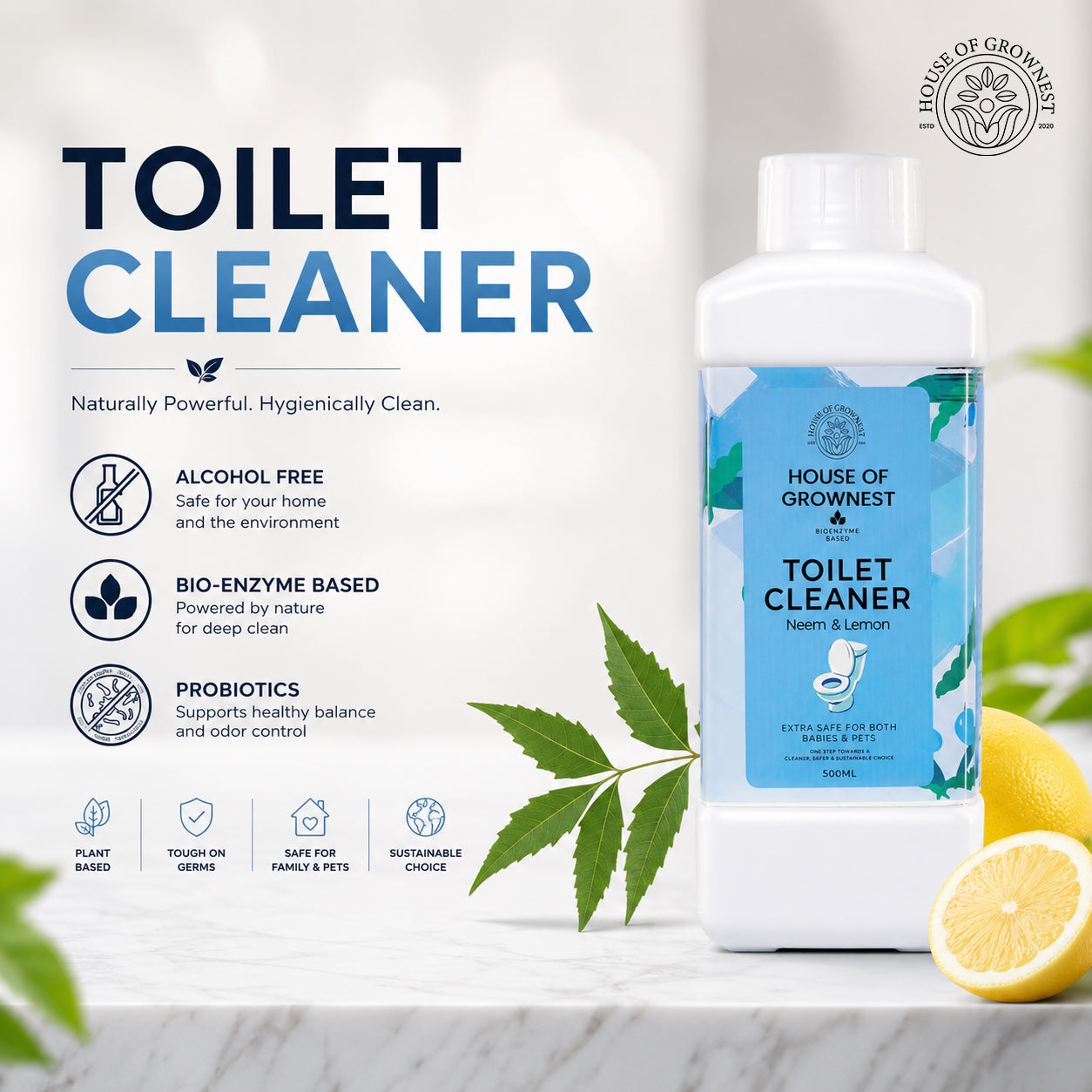 Toilet Cleaner
