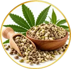 Hemp Seed Oil